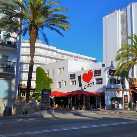 Villa Fernando 12 Personas 8Km Lloret De Mar Girona Eksteriør billede